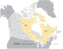 Canadian Shield Region thumbnail