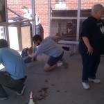 Commuters cleaning the bus stop for Maine Day service project 