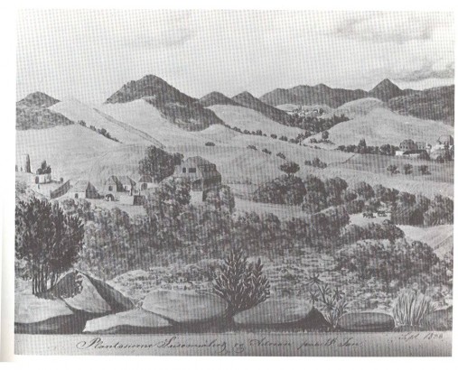 "Susannaberg, Adrian and Catherineberg, 1838.  Watercolor by Frederik von Scholten documents the extent of cultivation on St. John's most fertile area several decates after sugar production peaked."  St. John Backtime:  Eyewitness Accounts from 1718 to 1956.  Compiled by Ruth Hull Low & Rafael Valls. Eden Hill Press, St. John, 1985, p 40-41.