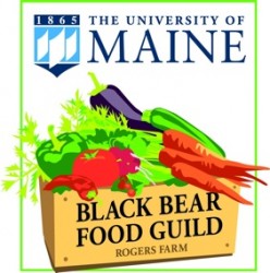 Black Bear Food Guild