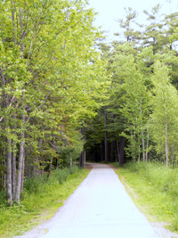 Maine trail