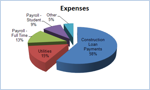 Pie Chart Expenses
