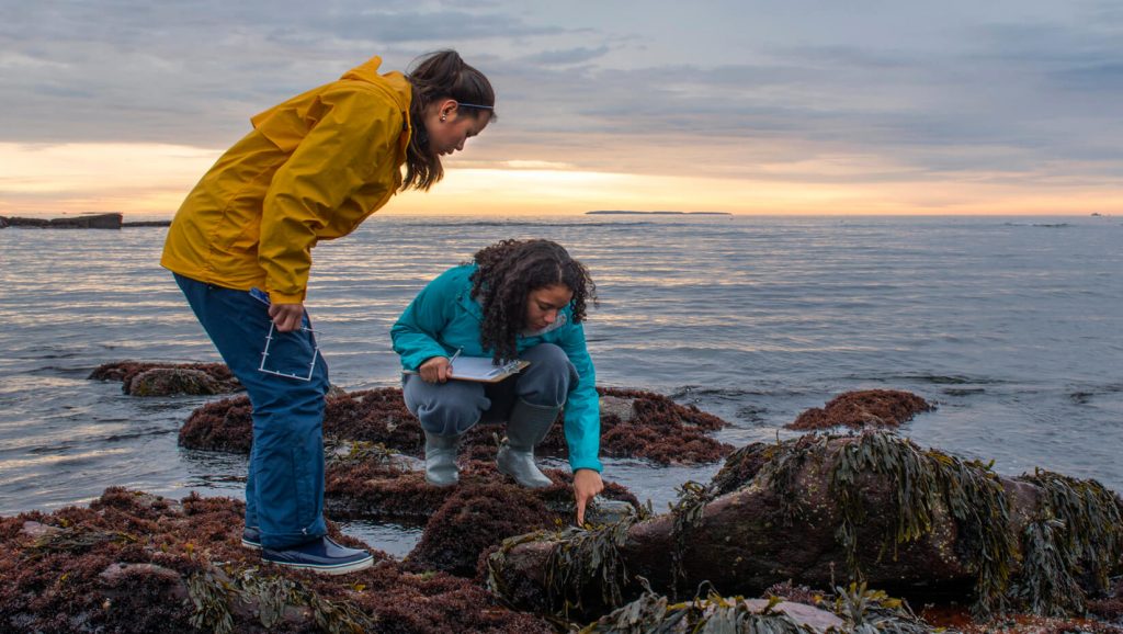 Students on a field trip to the coast