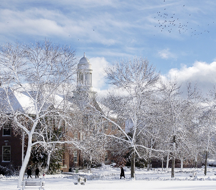 A photo of a snowy scene