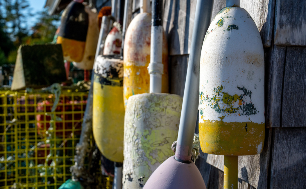 A photo of buoys