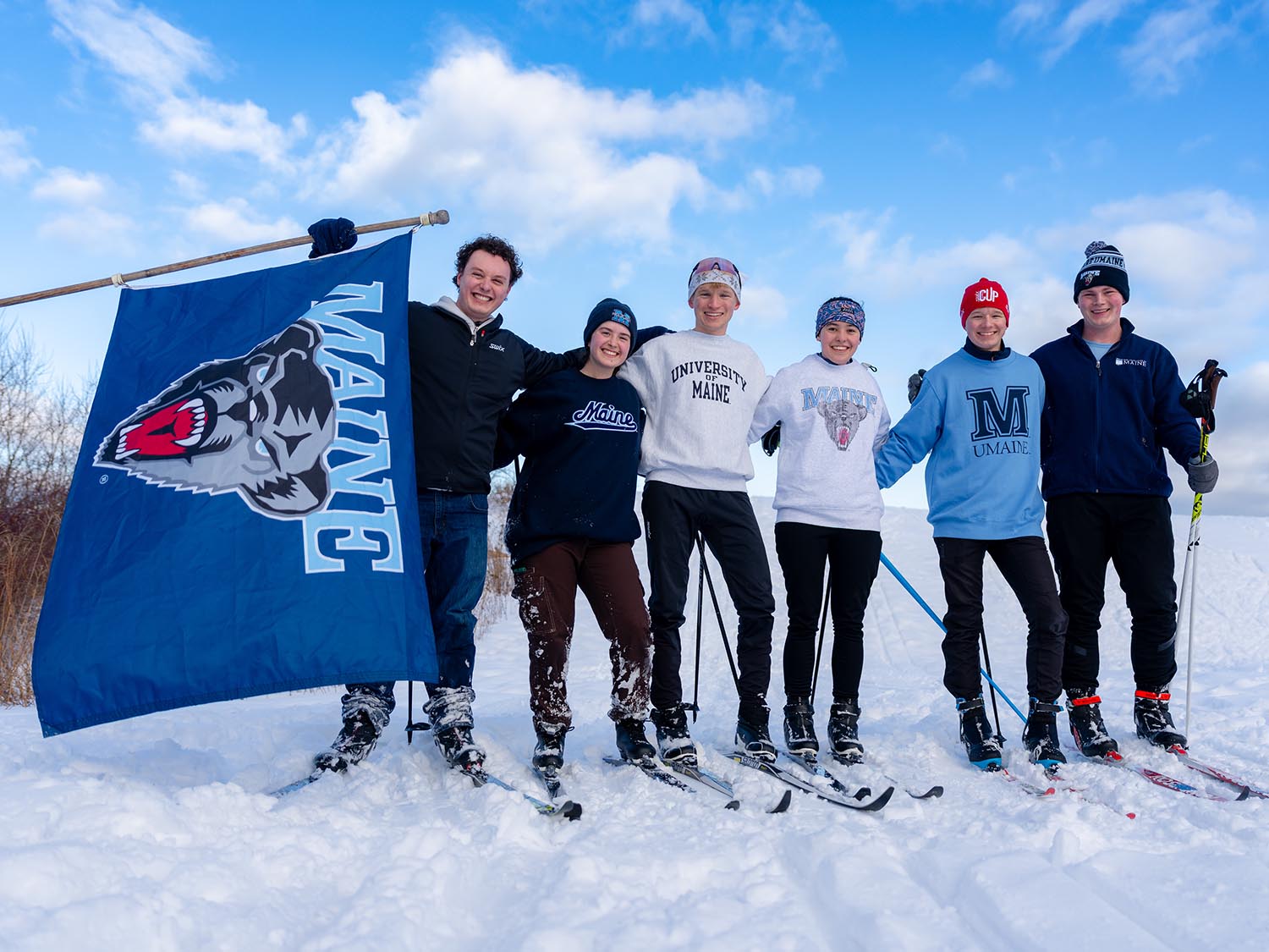 A photo of people cross country skiing