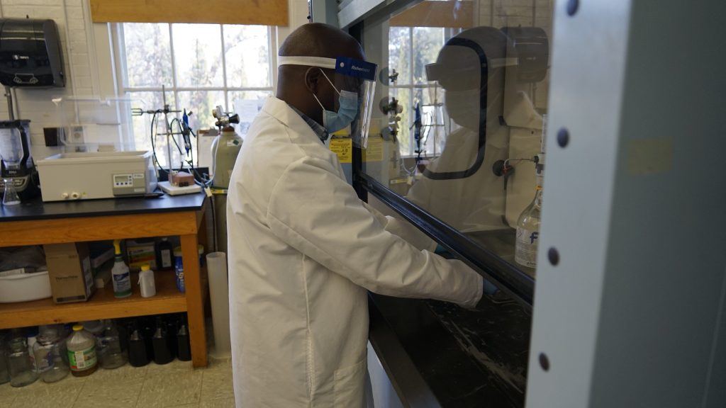 A photo of a team member examining a sample