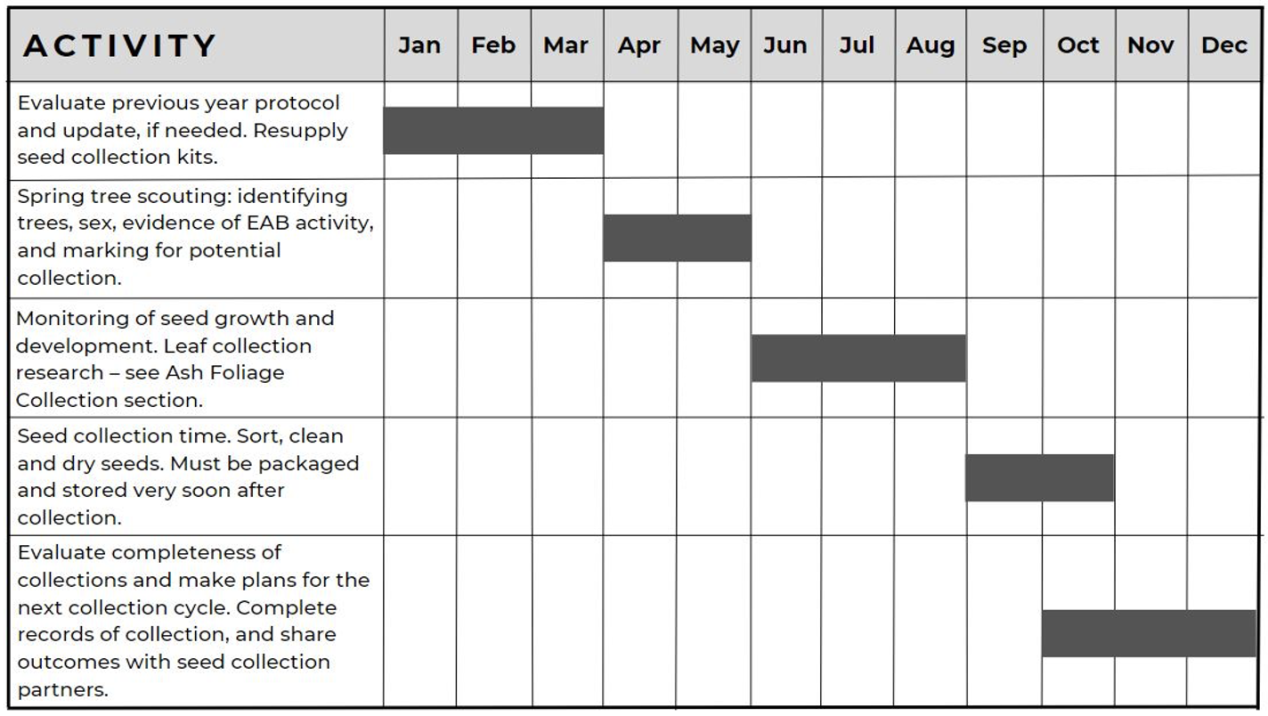 Collecting Ash Seed - Ash Protection Collaboration Across Wabanakik ...