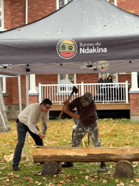 GIF of traditional black ash pounding, where individuals hit the cut log with the back of an axe to loosen the wood apart at the growth rings.