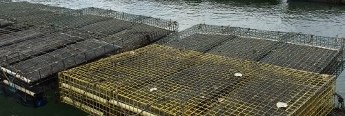 aquaculture rafts