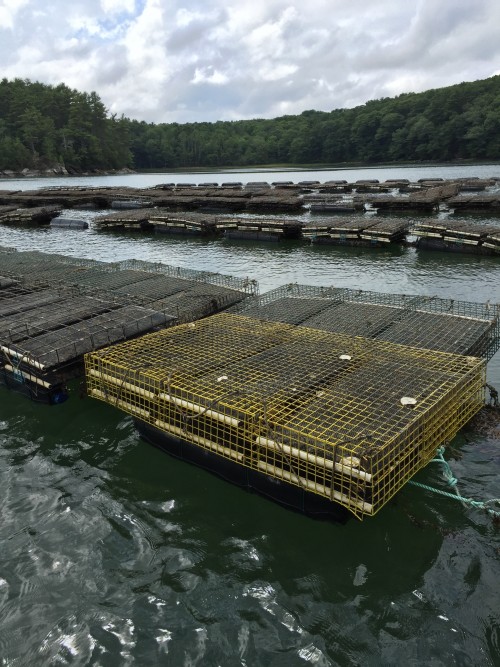 aquaculture rafts