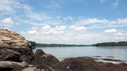 Maine coast