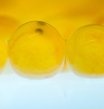 Salmon Eggs up close