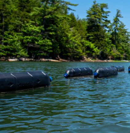 Oyster-Gro cages in Damariscotta River