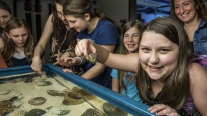 Kids at a touch tank at ARC