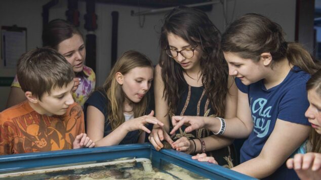 Kids program at the touch tank at ARC