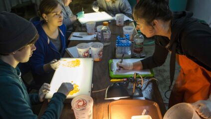 Hamlin lab Research group