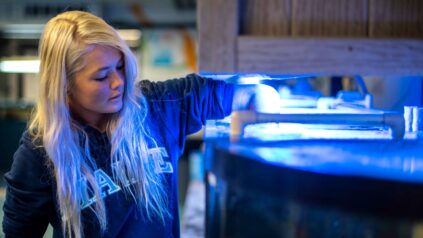 Student reaching into tank