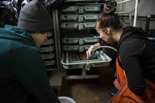 Students at hosing trays in Hitchner Hall