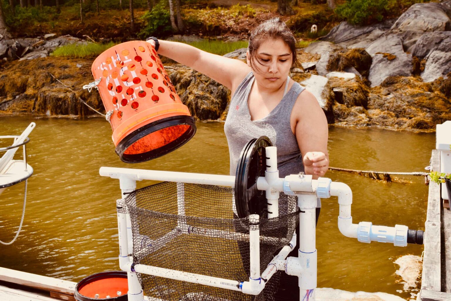 Josephine uses her oyster sorter