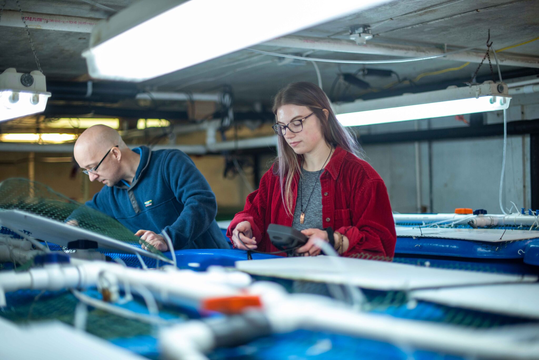 Aquaculture thesis pdf image