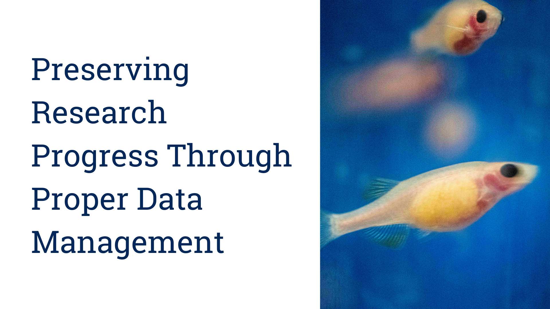 Text reads Presevering research progress through proper data managment next to photo of two zebrafish