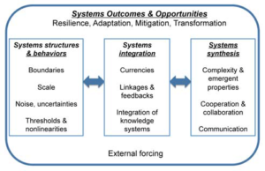 Systems Outcomes & Opportunities graph