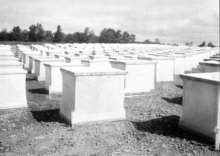 AF-historic-36-20C-potato-cages