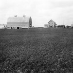 Aroostook Farm