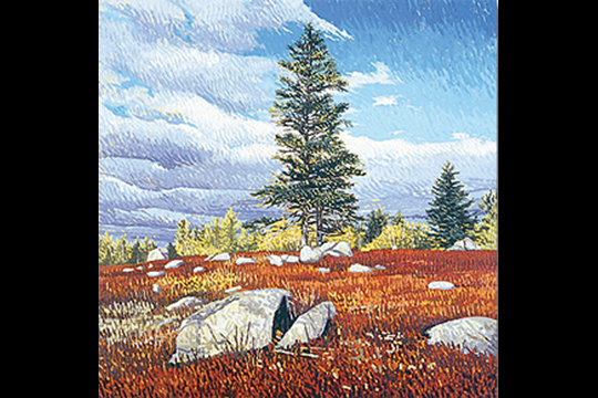 Blueberry Ridge