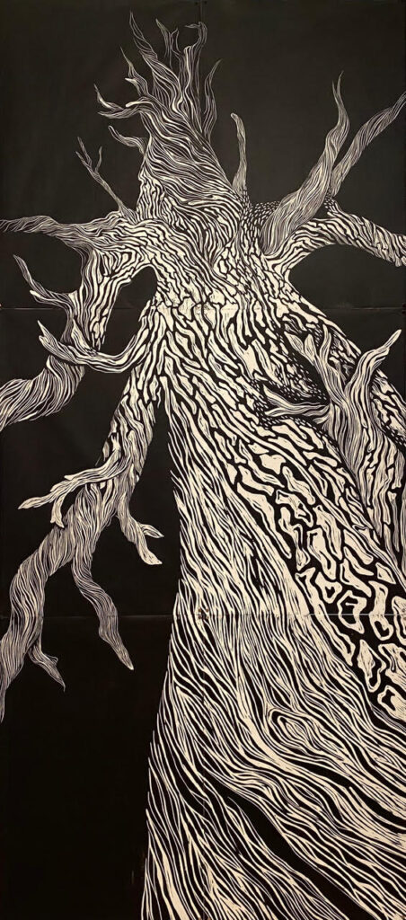 Pinus longaeva, woodcut, 90 x 40 inches