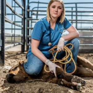 Female veterinarian