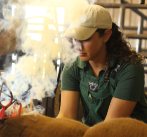 Female veterinarian