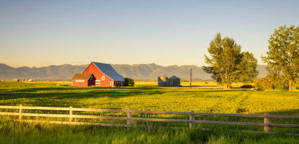 Standard barn image