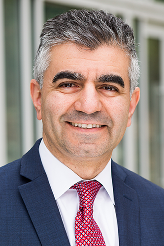A portrait of Amir Reza