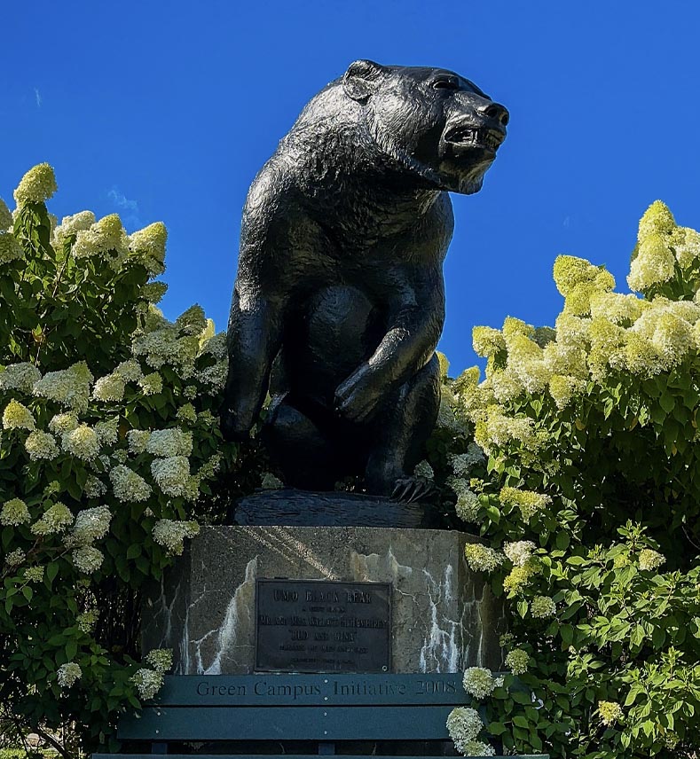 A photo of UMaine's black bear statue