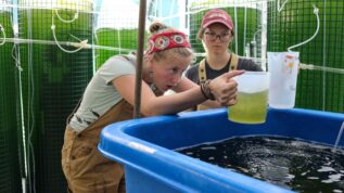 Two students measure algae into beakers