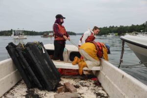 Three students on a skiff pulling out oyster cages