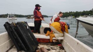 Three students on a skiff pulling out oyster cages