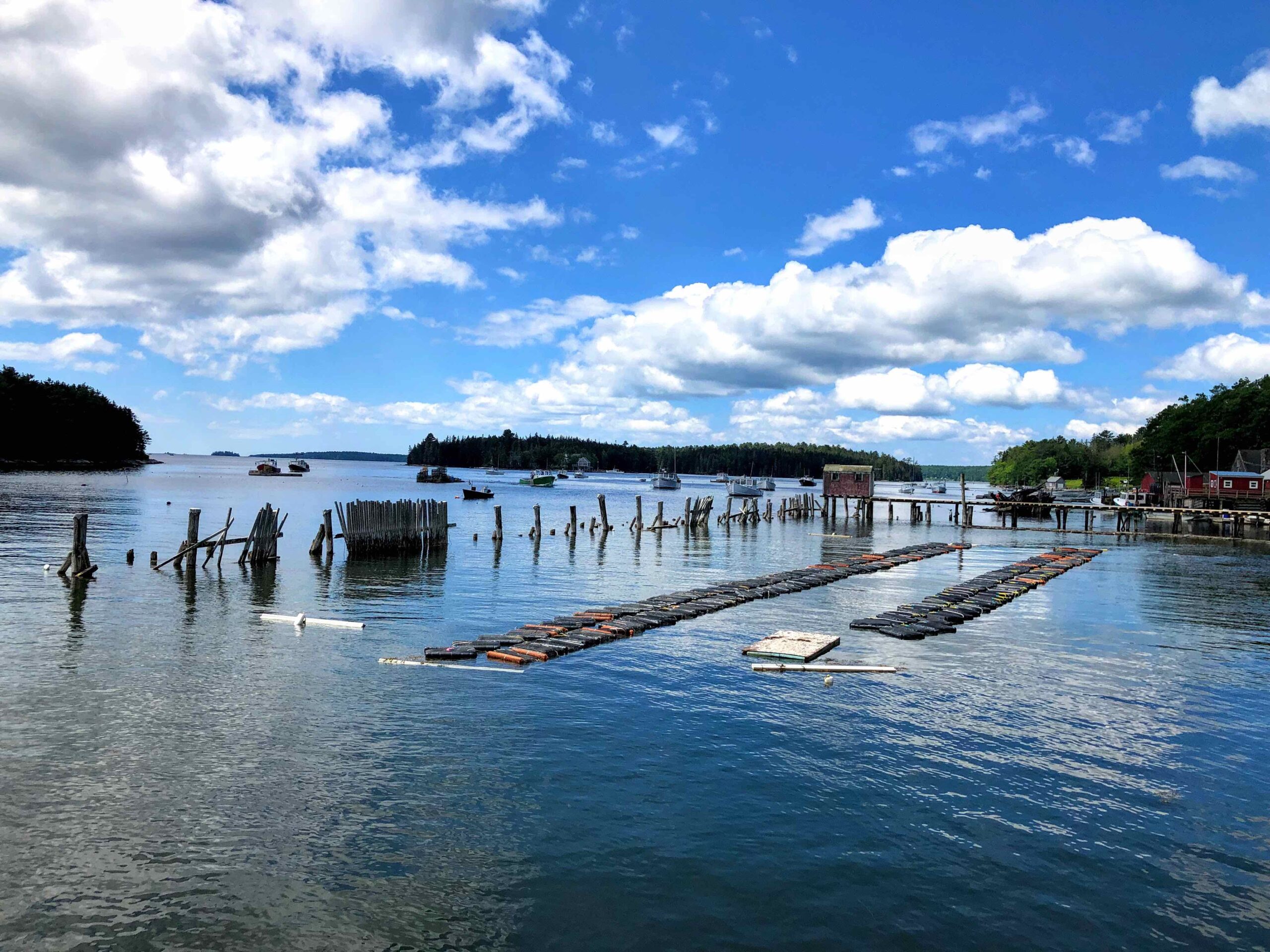 Aquaculture bags floating inside a lobster pound