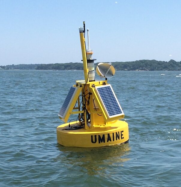 LOBO buoy in the water on a clear sunny day