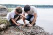 Two students measuring horseshoe crab shell in the field