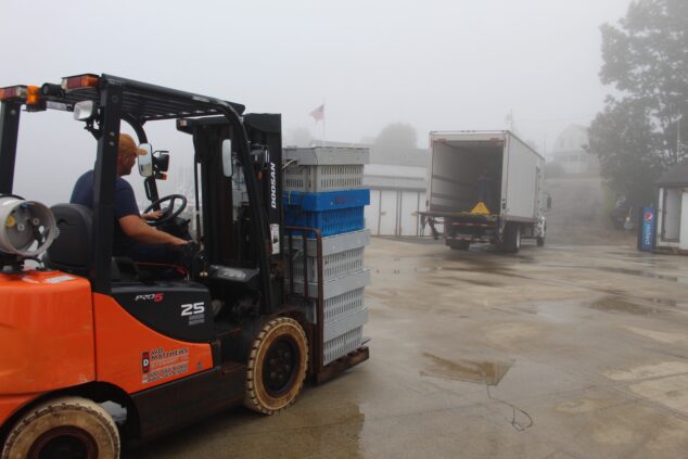 Lobster crates being loaded onto truck by forklift