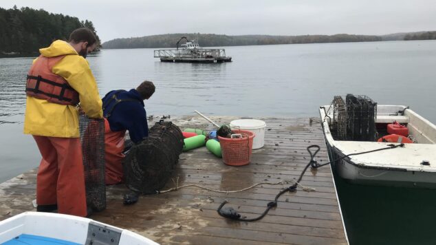 Two students work on aquaculture bags on dock