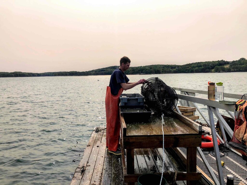 Student works on scallop net on floating dock