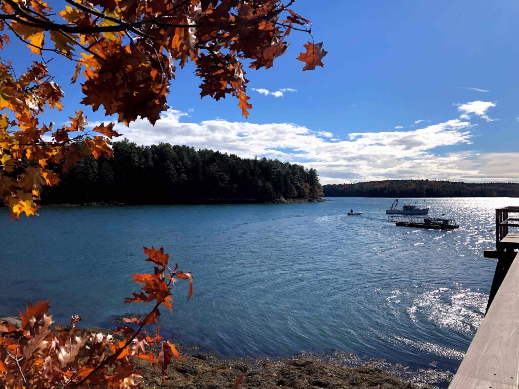 View of Lowes Cove from shore