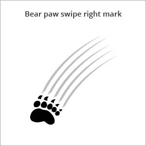 Bear paw swipe right mark