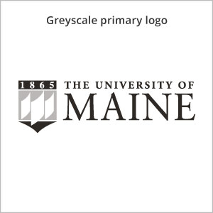 Greyscale primary logo