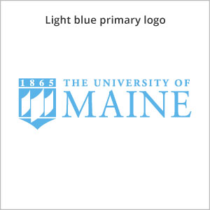 Light blue primary logo