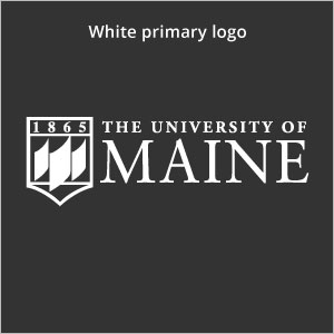 White primary logo